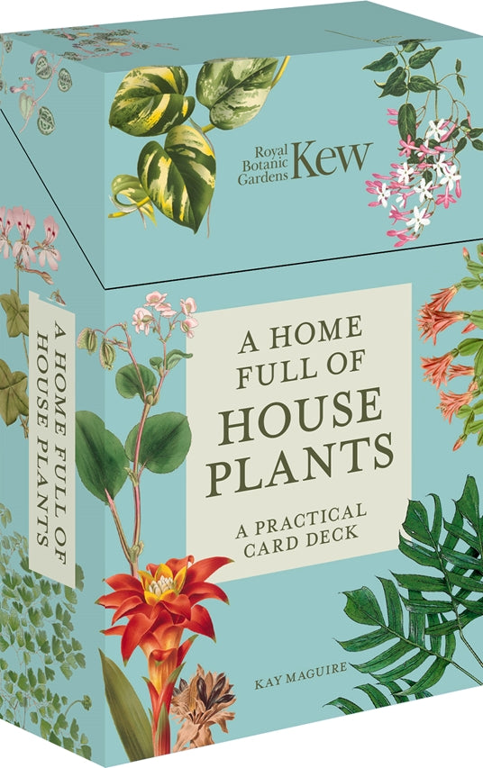 A Home Full of House Plants by Kay Maguire